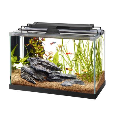 Aqueon Rimless Rectangle Aquarium - 5.5 gal  