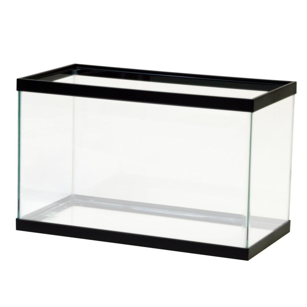 Aqueon Standard Glass Rectangle Aquarium Clear Silicone - Black - 10 gal  