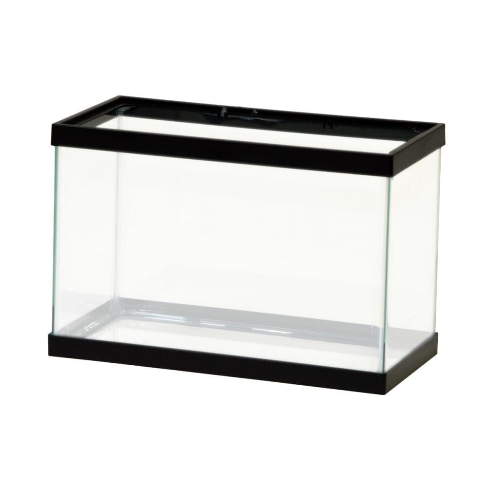 Aqueon Standard Glass Rectangle Aquarium Clear Silicone - Black - 2.5 gal  