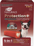 Ark Naturals Protection+ Brushless Toothpaste Value Pack Dental Dog Chews - Small - 60 Count Box  