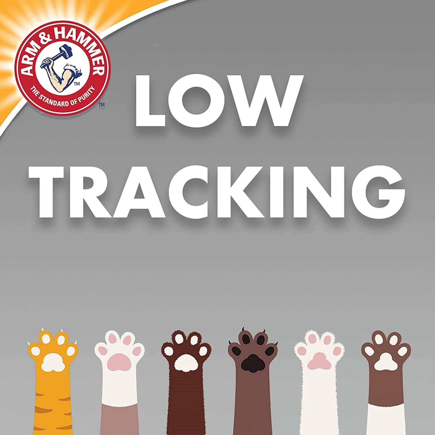 Arm & Hammer Multi-Cat Clumping Cat Litter - Fresh Scent - 40 Lbs  