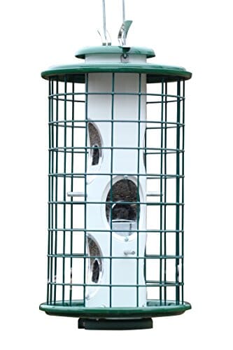 Audubon Avian Series Caged Mixed Seed Haven Wild Bird Feeder - Green - 4.5 Lbs Cap