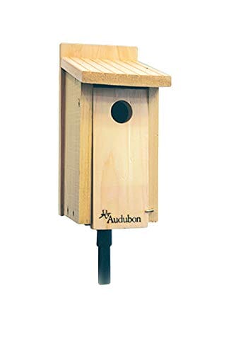 Audubon Cedar Bluebird Wild Bird House - Tan - 6.4 X 6.4 X 11.75  