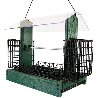 Audubon Going Green 5-In-1 Ranch Feeder with Suet Holders Plastic Hopper Wild Bird Feeder - Blue  