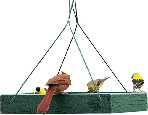 Audubon Going Green Platform Wild Bird Feeder - Green - 12.75 X 12.75 X 2.5  