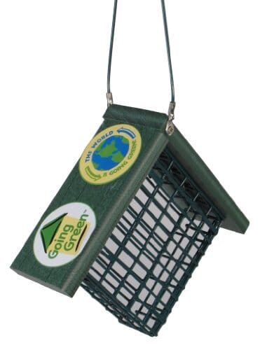 Audubon Going Green Suet Wild Bird Feeder - Green - 1 Cake Cap  