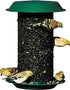 Audubon Magnum Plastic Sunflower Screen Wild Bird Feeder - Green - 3 Lbs Cap  