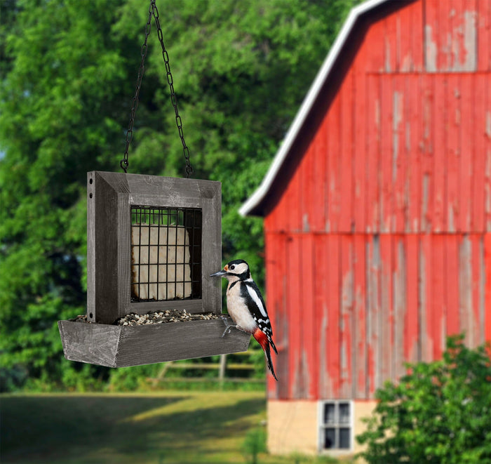 Audubon Modern Farmhouse Window Suet & Seed Wild Bird Feeder - Gray - 1 Lb Cap