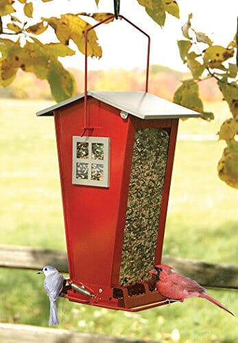 Audubon Snack Shack Squirrel-Resistant Metal and Squirrel-proof Wild Bird Feeder - Red - 7 Lbs Cap  