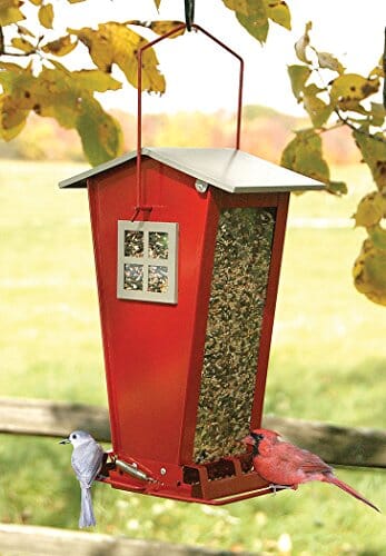 Audubon Snack Shack Squirrel-Resistant Metal and Squirrel-proof Wild Bird Feeder - Red ...