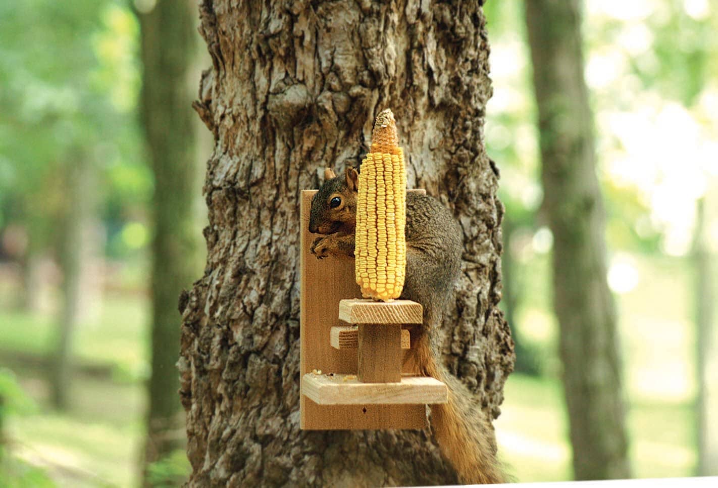 Audubon Squirrel Chair Feeder - Tan - 1 Ear Corn  