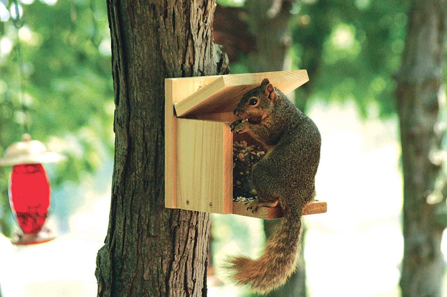 Audubon Squirrel Munch Box Feeder - Tan - 1.75 Lbs Cap  