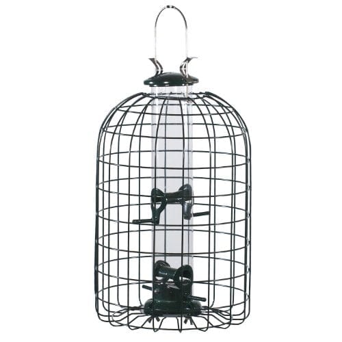 Audubon Squirrel-Resistant Caged Tube Haven Wild Bird Feeder - Clear and Green - 1.25 Lbs Cap  