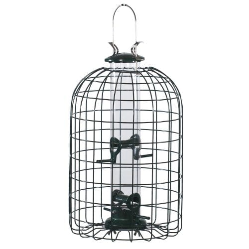 Audubon Squirrel-Resistant Caged Tube Haven Wild Bird Feeder - Clear and Green - 1.25 L...