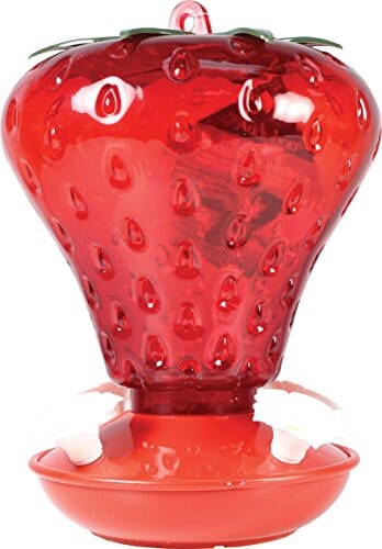 Audubon Strawberry Plastic Hummingbird Feeder - Red - 40 Oz Cap  