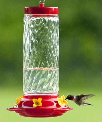 Audubon Swirl Glass Hummingbird Feeder - Red/Clear - 30 Oz
