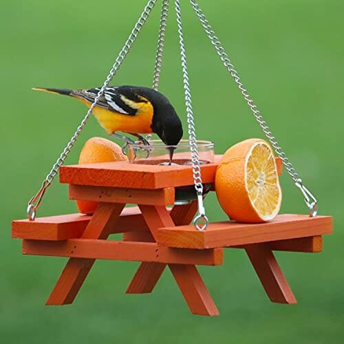 Backyard Essentials Oriole Picnic Table Feeder - Orange  