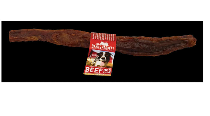 Bark + Harvest by Superior Farms 12" Beef Bladder Stick Dog Natural Chews - Case of 100