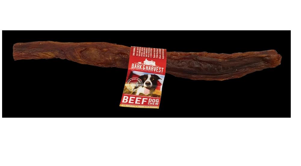 Bark + Harvest by Superior Farms 12" Beef Bladder Stick Dog Natural Chews - Display Box - Case of 25  