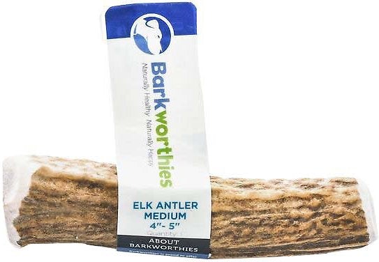 Barkworthies Elk Antler Natural Dog Chews - Whole Medium - Case of 1