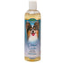 Bio-Groom Protein Lanolin Tearless Dog Shampoo - 12 Oz  