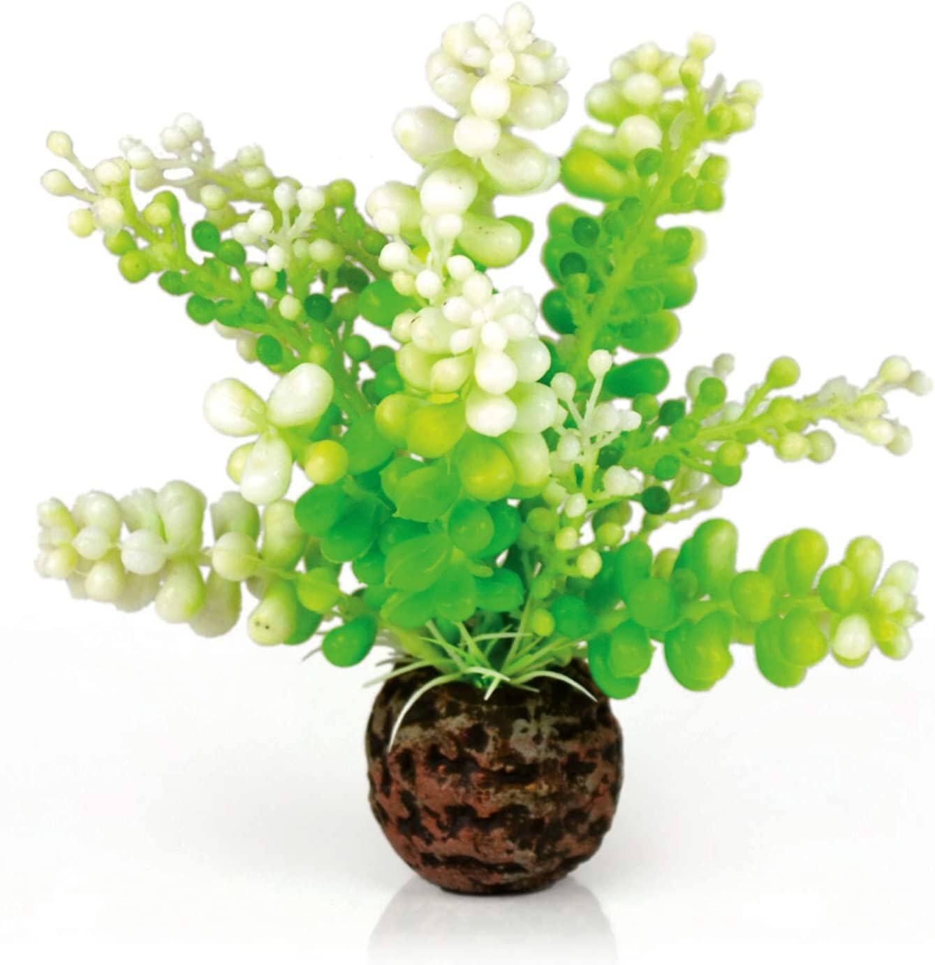 biOrb Aquatic Caulerpa Plastic Aquarium Plant - Small  