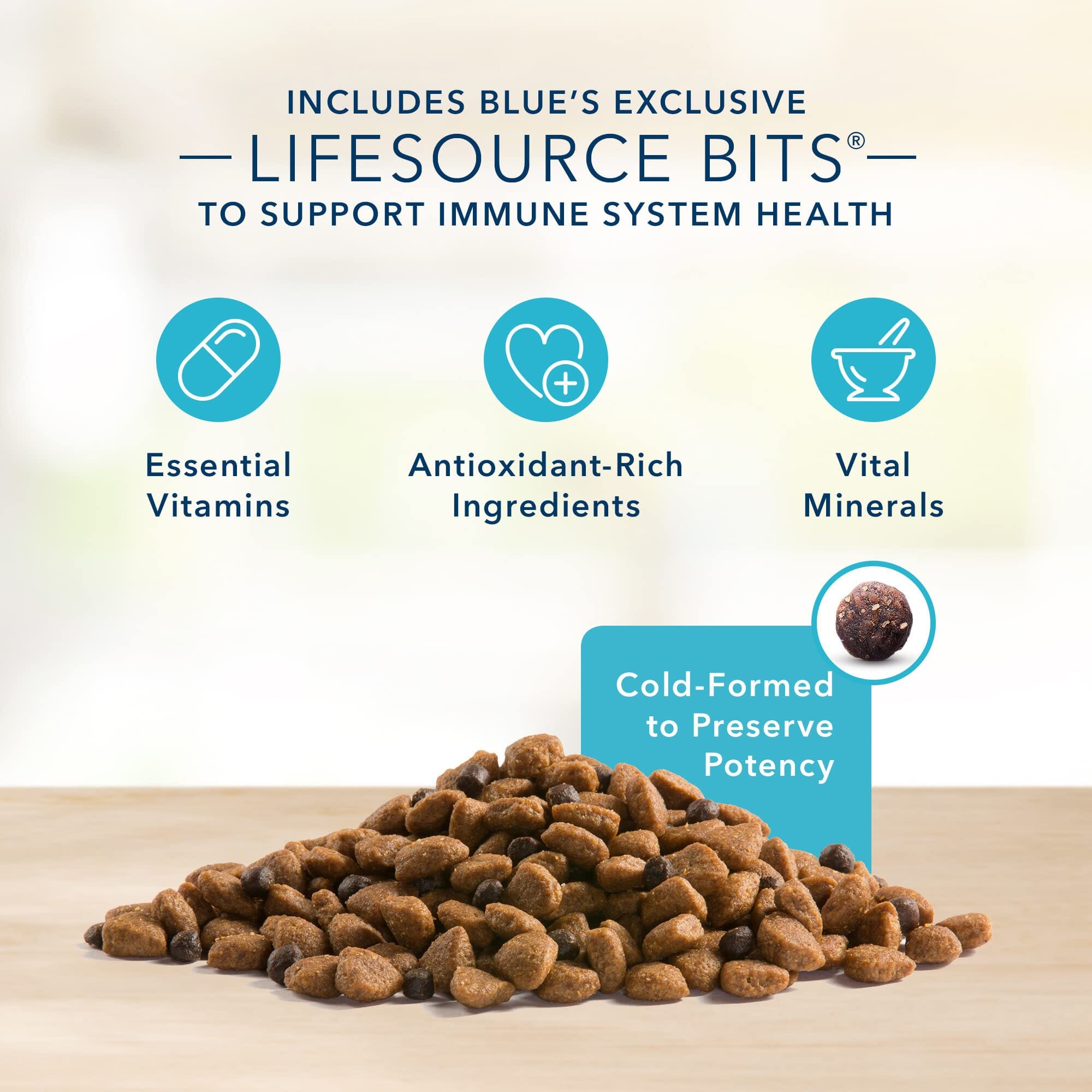 Blue Buffalo Basics Skin and Stomach Adult Grain-Free Salmon Dry Dog Food - 22 Lbs  