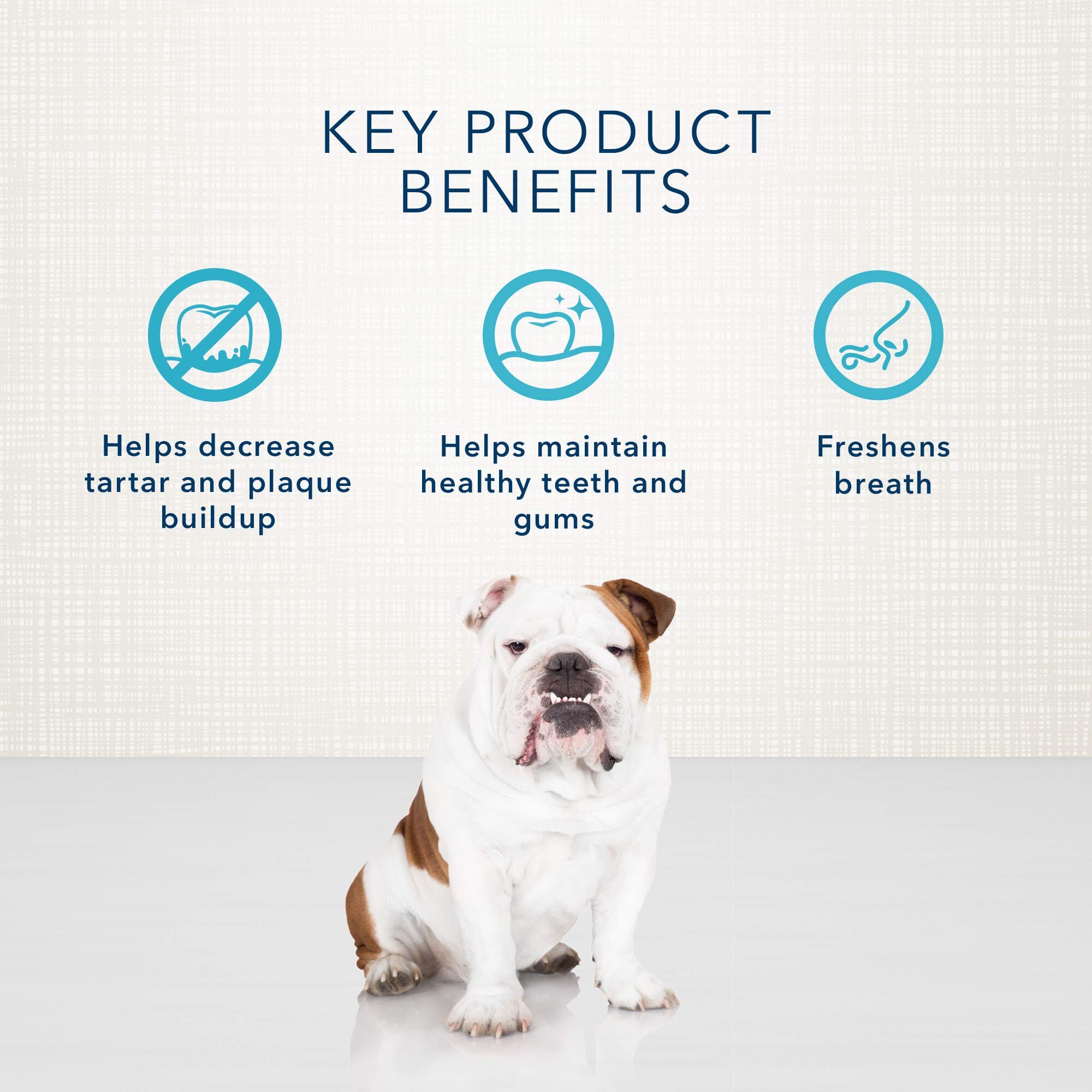 Blue Buffalo Dental Bones Regular Natural Dental Dog Treats - 12 Oz  