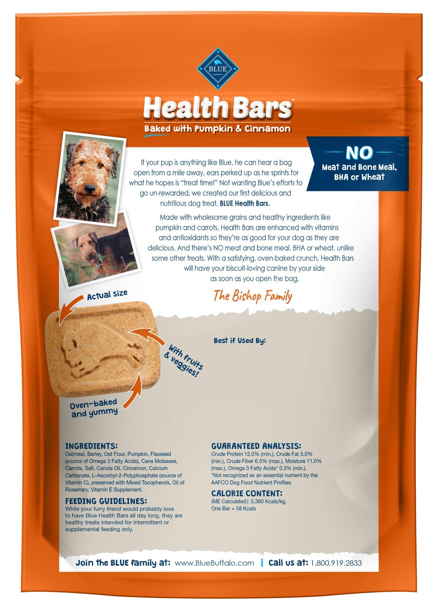 Blue Buffalo Health Bars Pumpkin and Cinnamon Dog Biscuits Treats - 16 Oz  