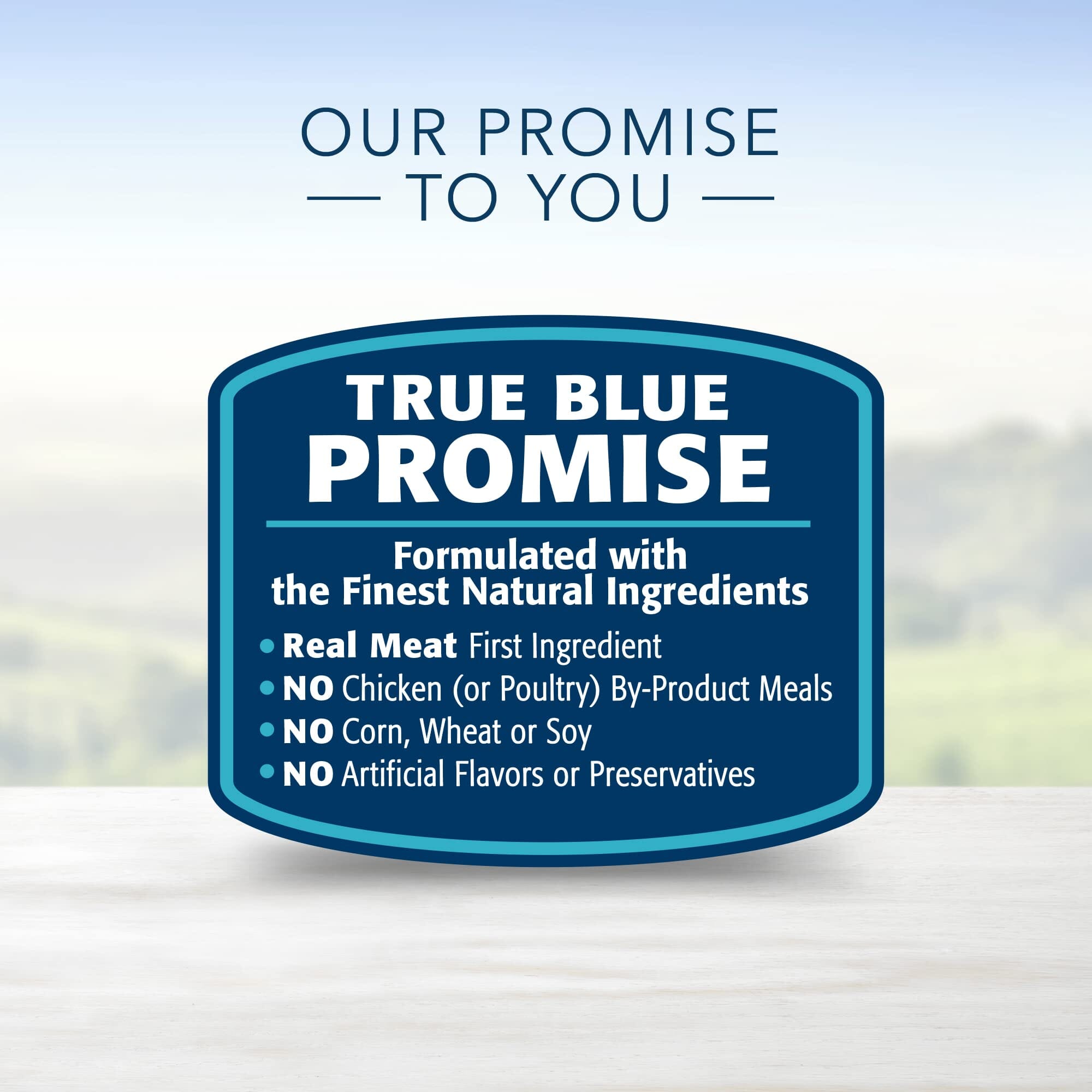 Blue Buffalo Homestyle Recipe Adult Chicken and Beef Canned Dog Food - Variety Pack - 8 Count  