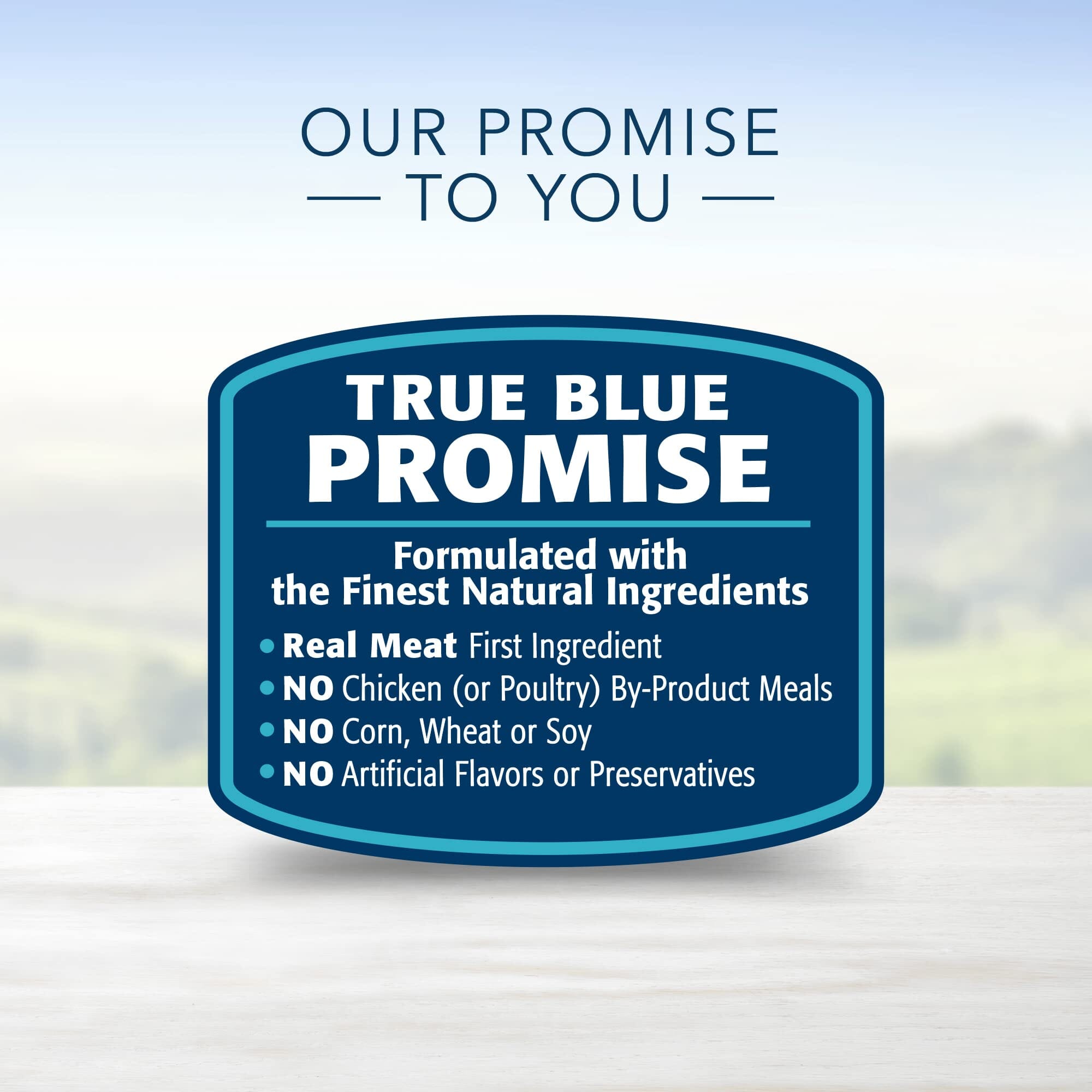 Blue Buffalo Homestyle Recipe Adult Chicken and Beef Pate with Whole Grains Variety Pack Canned Dog Food -12.5 Oz - 6 Count  