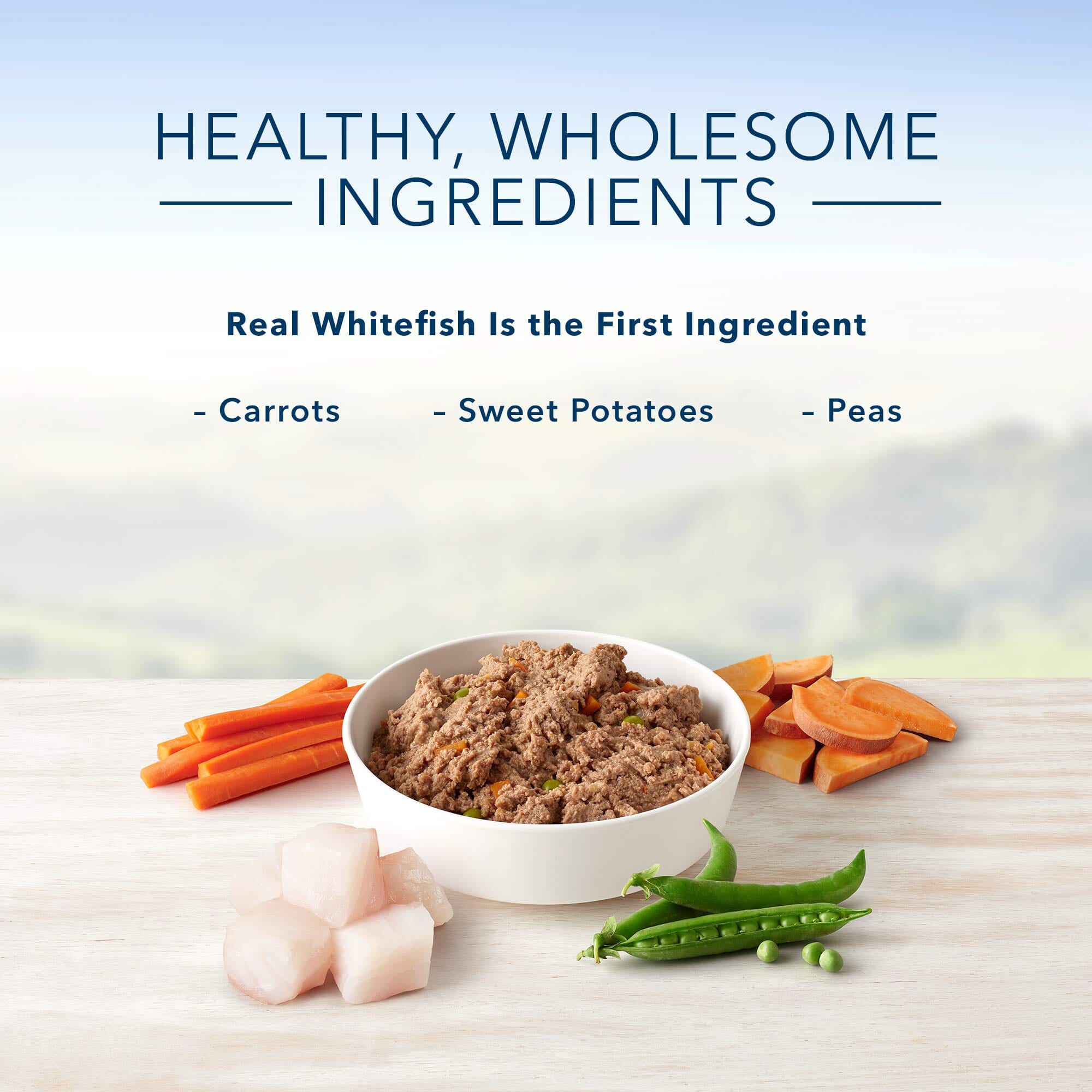 Blue Buffalo Homestyle Recipe Fish and Sweet Potato Canned Dog Food - 12.5 Oz - Case of 12  