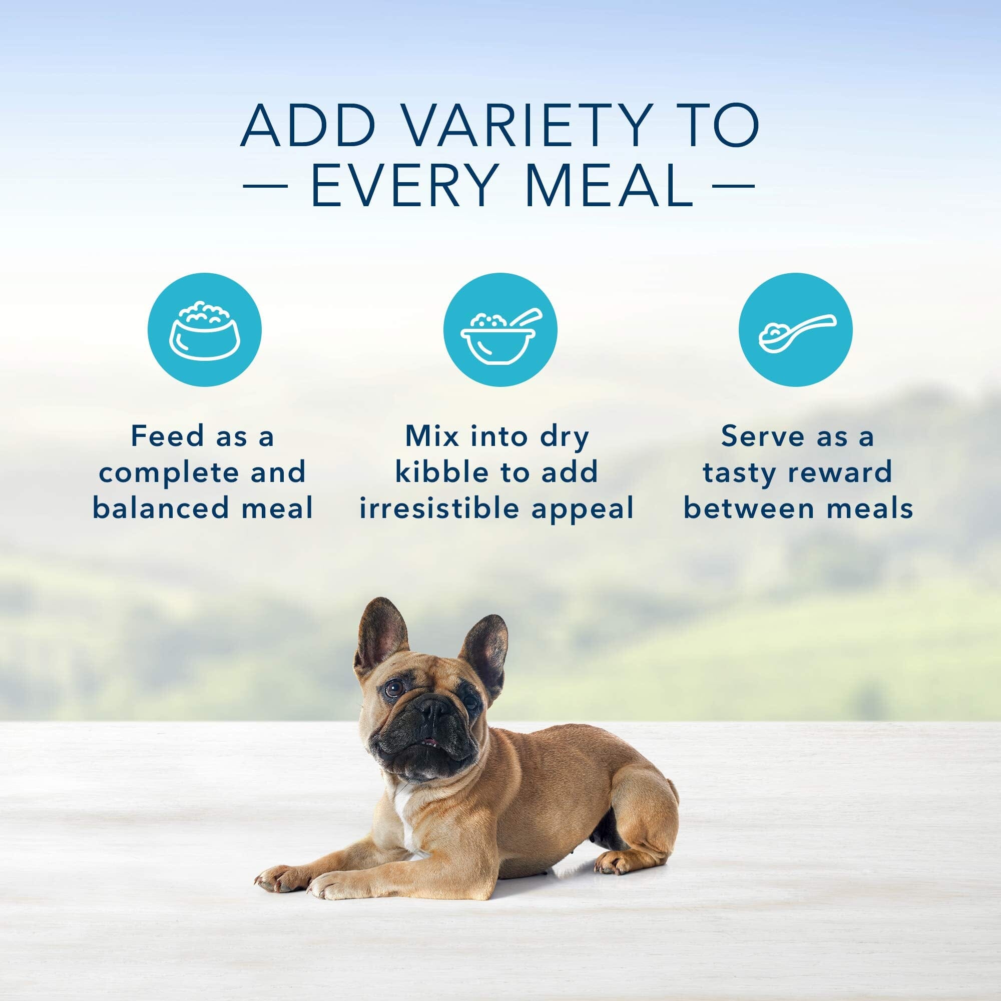 Blue Buffalo Homestyle Recipe Lamb Small-Breed Canned Dog Food - 5.5 Oz - Case of 24  