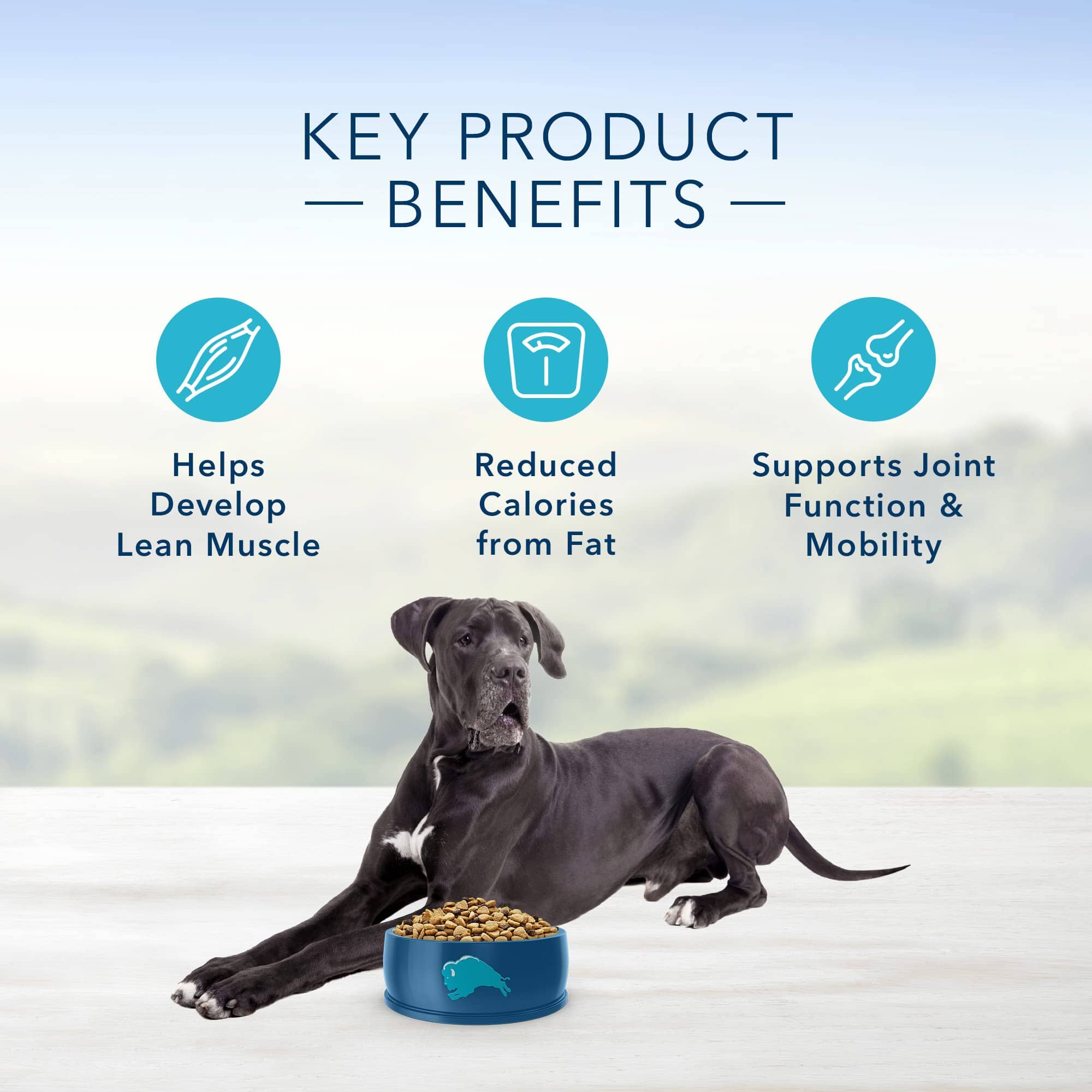 Blue Buffalo Life Protection Formula Adult Large-Breed Healthy Weight Chicken and Brown Rice Dry Dog Food - 30 Lbs  