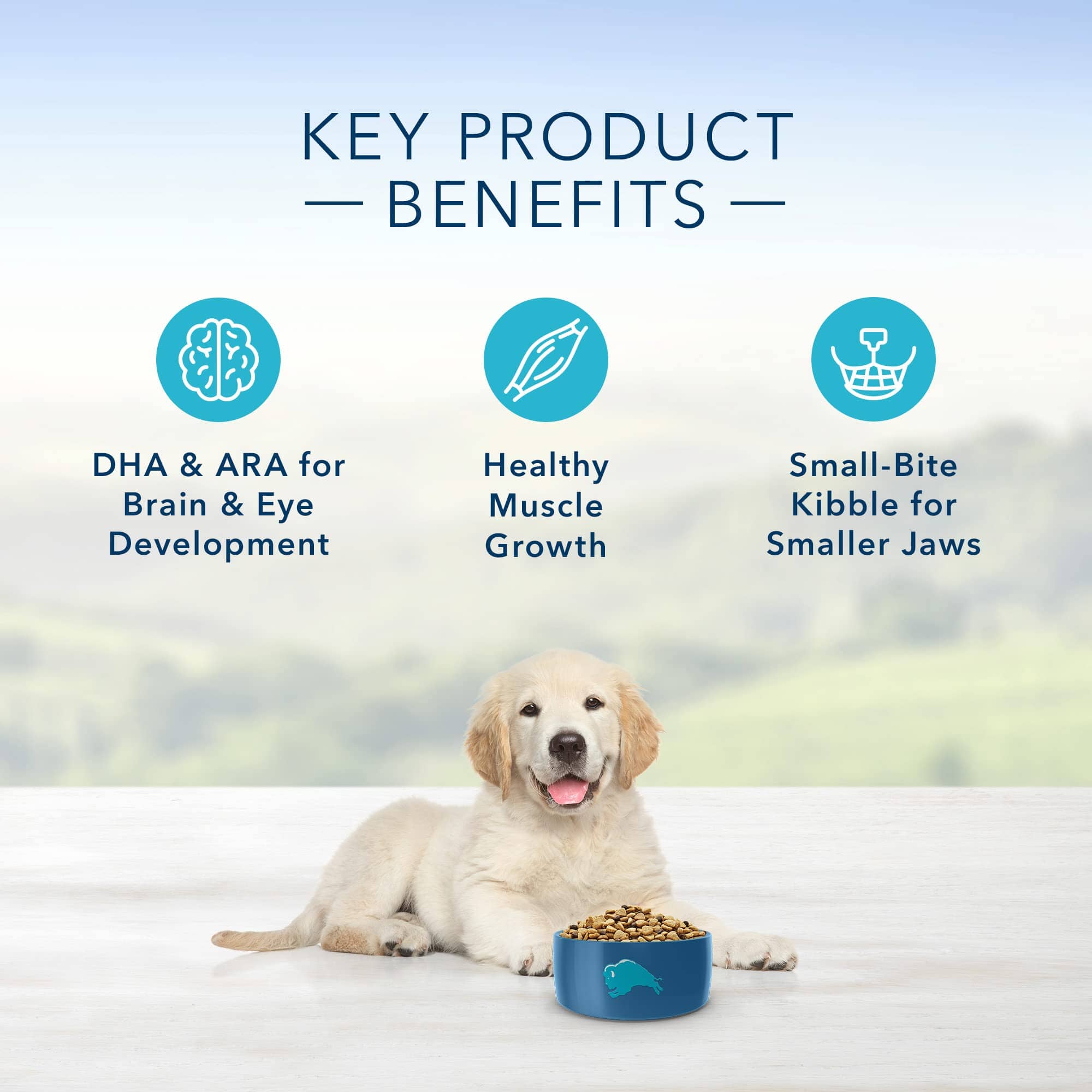 Blue Buffalo Life Protection Formula Chicken and Brown Rice Puppy Dry Dog Food - 30 Lbs  
