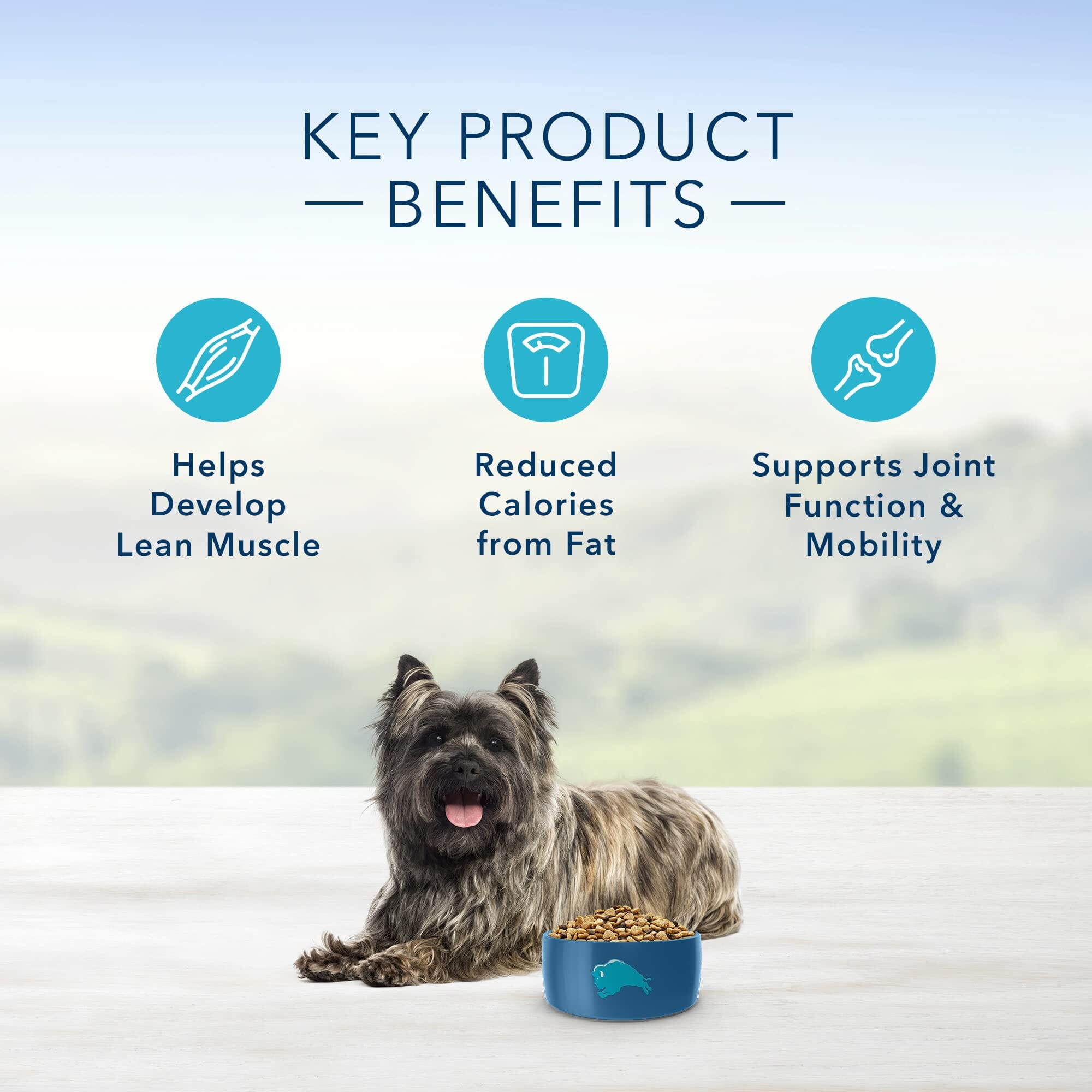 Blue Buffalo Life Protection Formula Natural Adult Small-Breed Healthy Weight Adult Chicken Dry Dog Food - 5 Lbs  