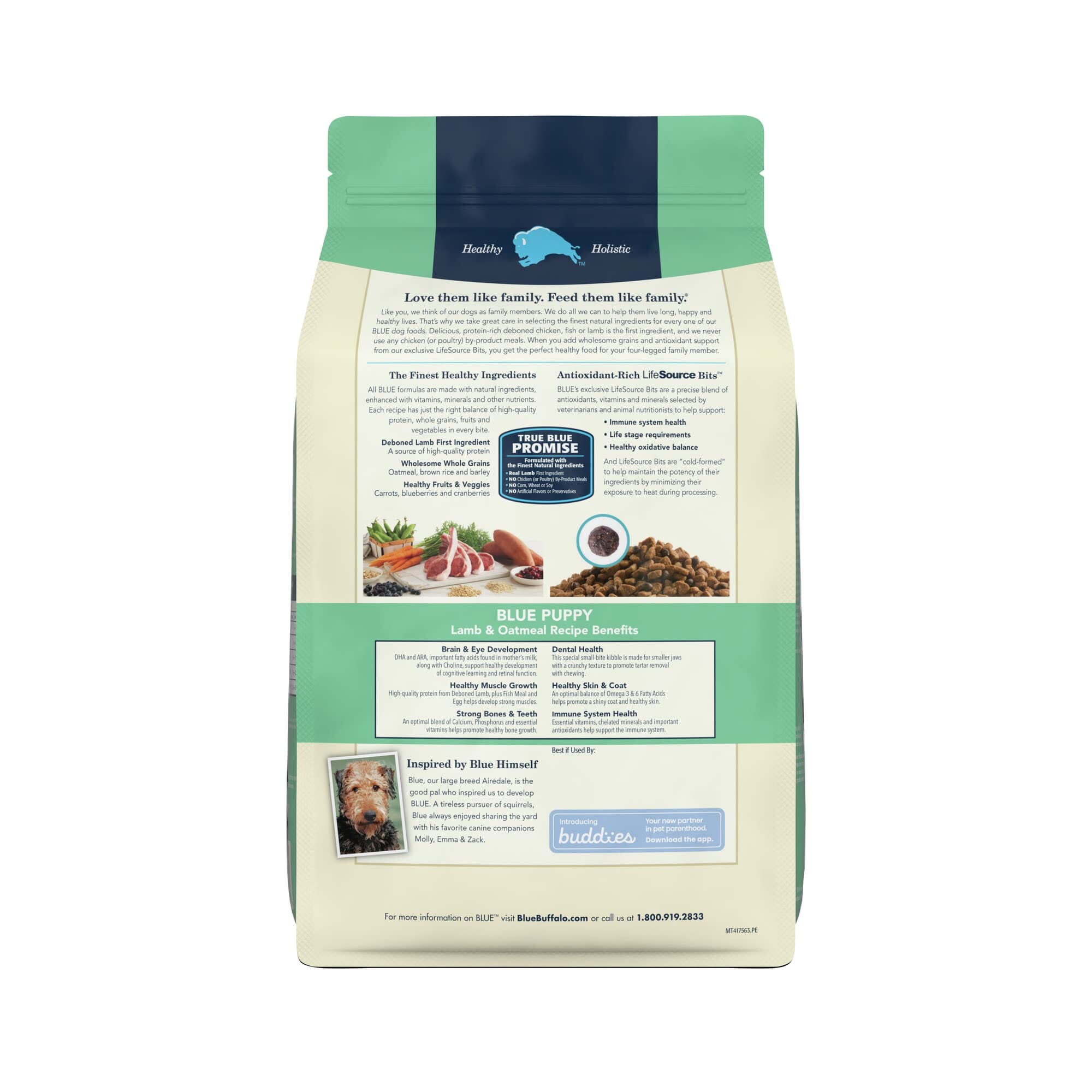 Blue Buffalo Life Protection Formula Natural Puppy Lamb and Oatmeal Dry Dog Food - 5 Lbs  