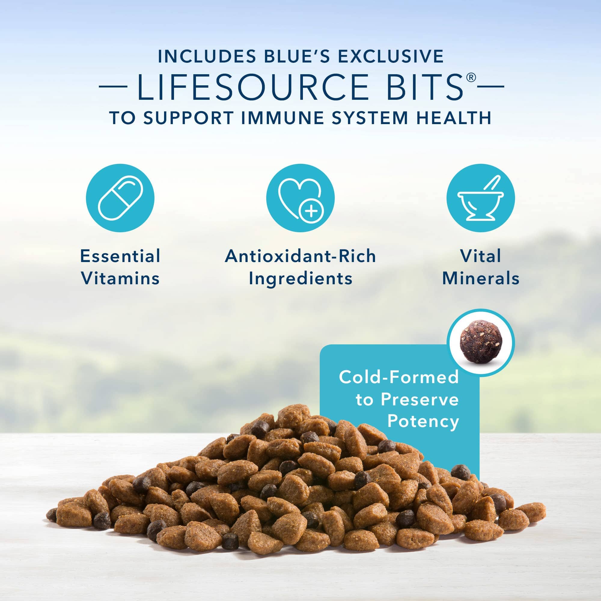 Blue Buffalo Life Protection Formula Natural Senior Chicken and Brown Rice Dry Dog Food - 5 Lbs  