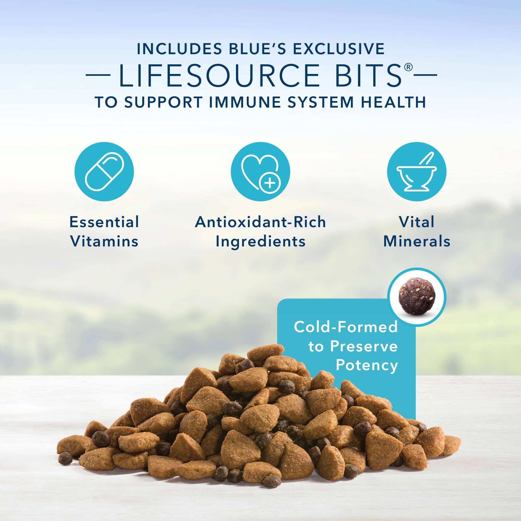 Blue Buffalo Life Protection Formula Senior Large-Breed Chicken and Brown Rice Dry Dog Food - 30 Lbs  