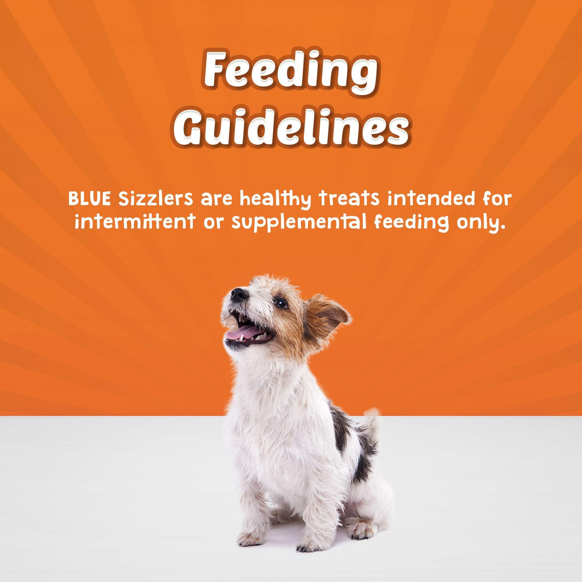 Blue Buffalo Sizzlers Natural Bacon-Style Pork Soft Moist Dog Treats  - 15 Oz  