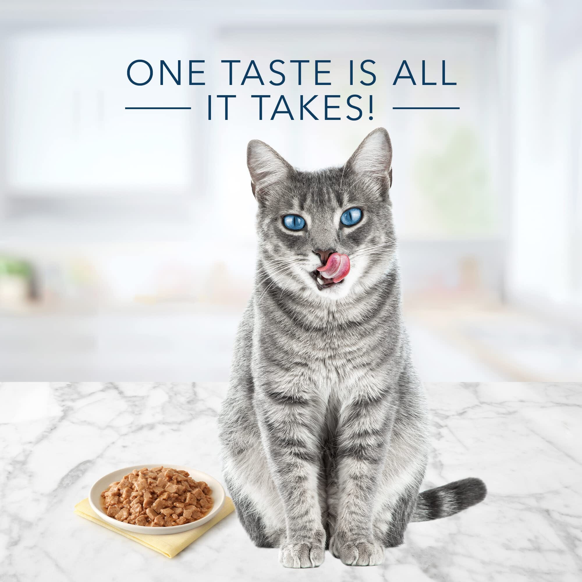 Blue Buffalo Tastefuls Natural Flaked Chicken in Gravy Entrée Canned Cat Food - 5.5 Oz - Case of 12  