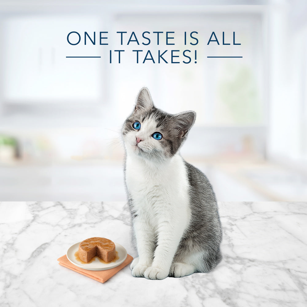 Blue Buffalo Tastefuls Natural Kitten Pate Chicken Entree Wet Cat Food  