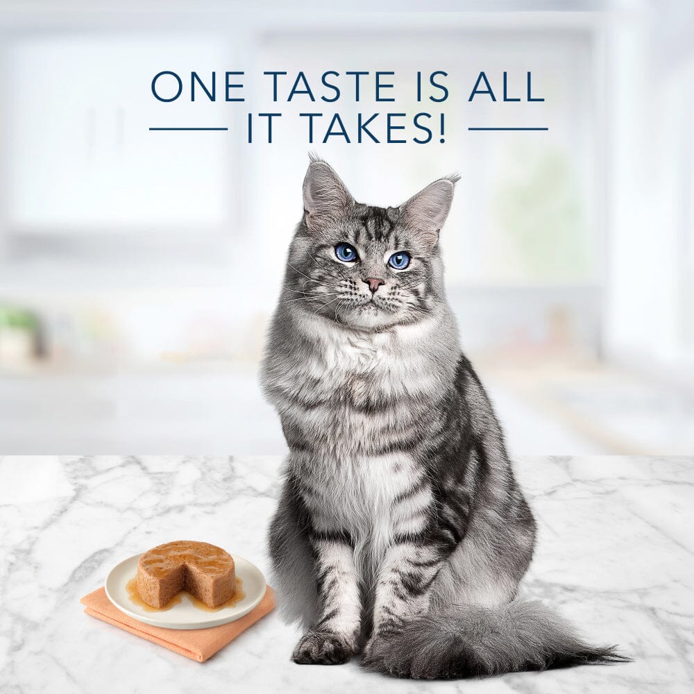 Blue Buffalo Tastefuls Natural Mature Pate Chicken Entree Wet Cat Food  