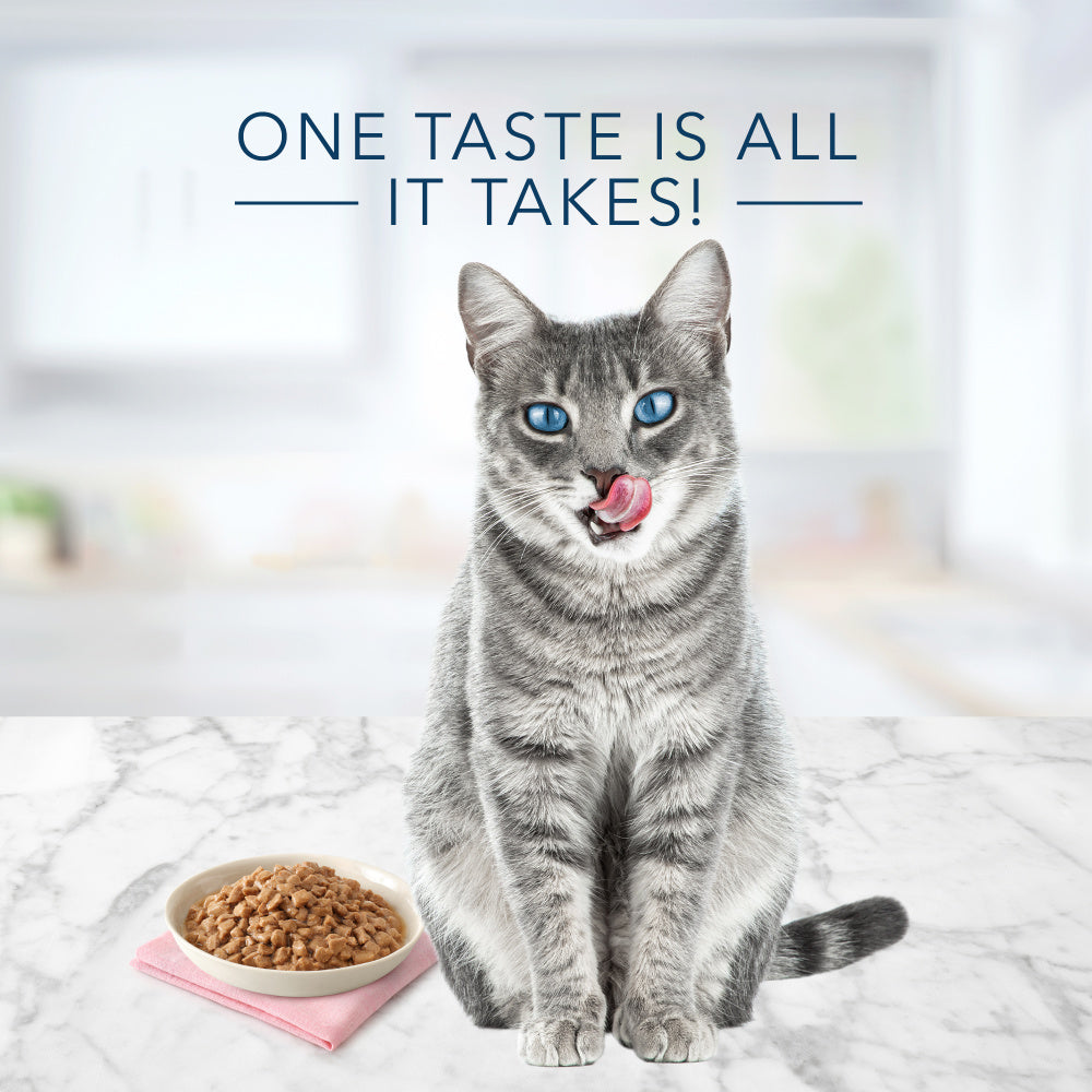 Blue Buffalo Tastefuls Natural Tender Morsels Chicken Entree Wet Cat Food  