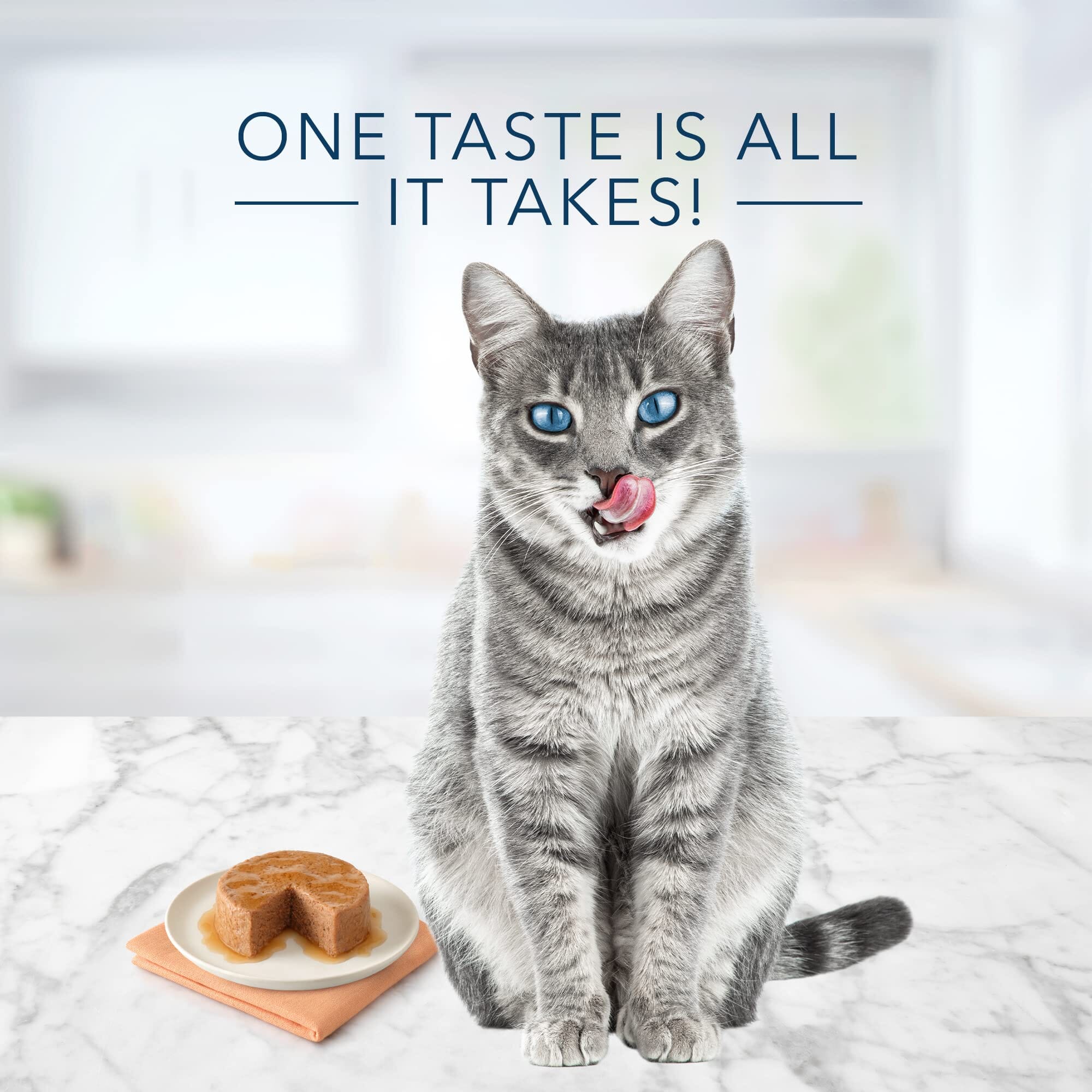 Blue Buffalo Tastefuls Turkey and Chicken Pate Entrée Canned Cat Food - 5.5 Oz - Case of 12  