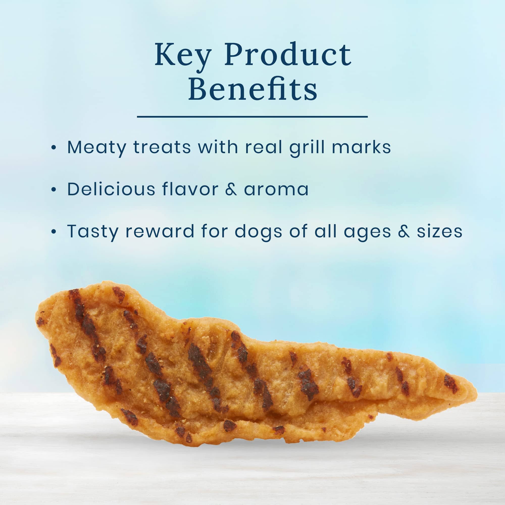 Blue Buffalo True Chews Premium  Natural Chicken and Bacon Chewy Dog Treats - 12 Oz  