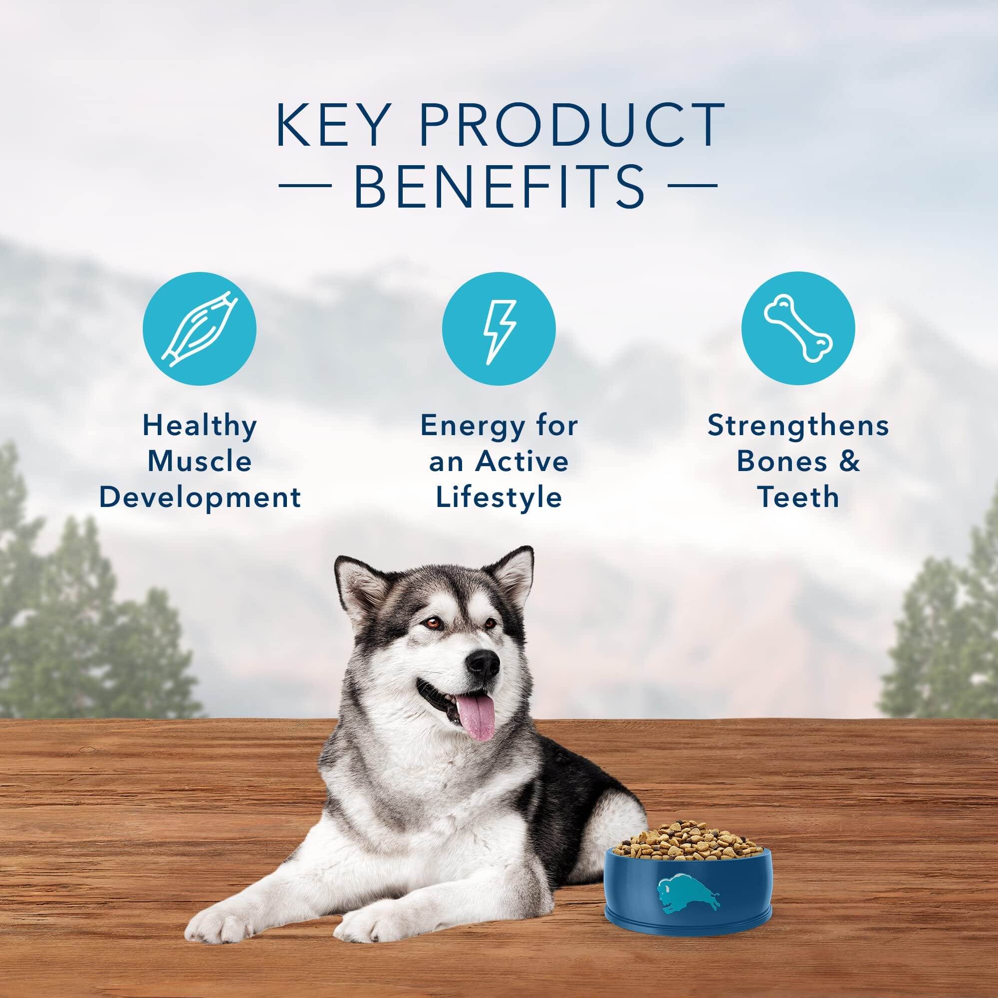 Blue Buffalo Wilderness Adult High-Protein Large-Breed Chicken with Wholesome Grains Dry Dog Food - 24 Lbs  