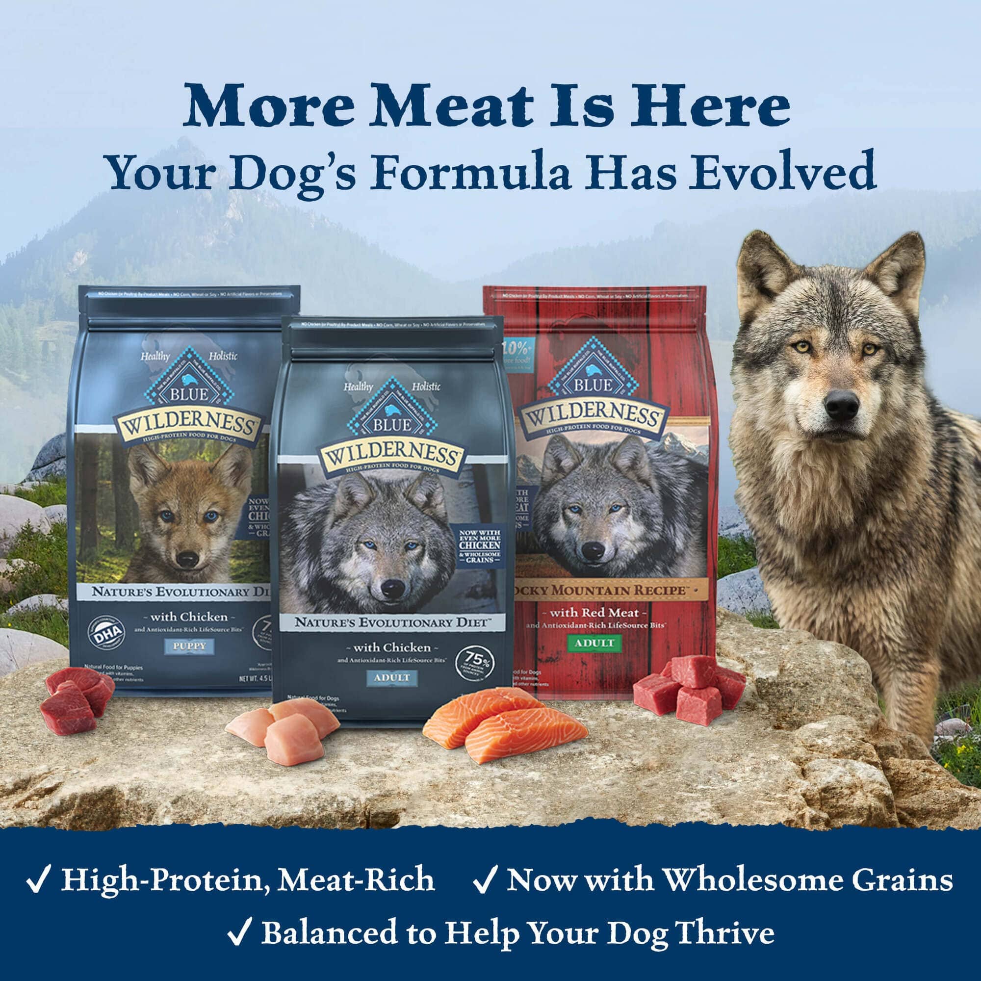 Blue Buffalo Wilderness Adult High-Protein Rocky Mountain Recipe Natural Red Meat with Grains Dry Dog Food - 4.5 Lbs  