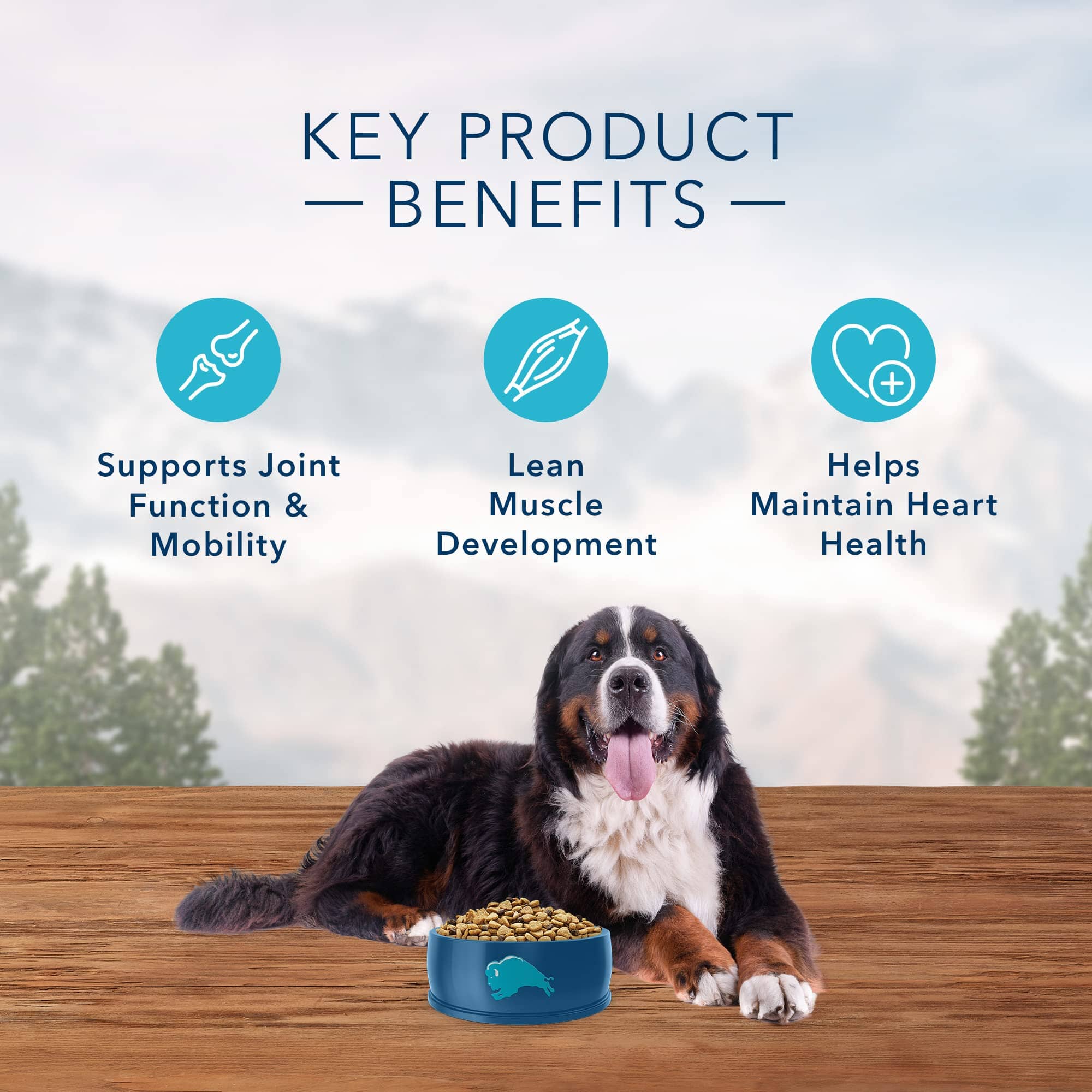Blue Buffalo Wilderness Adult Large-Breed High-Protein Chicken with Wholesome Grains Dry Dog Food - 24 Lbs  