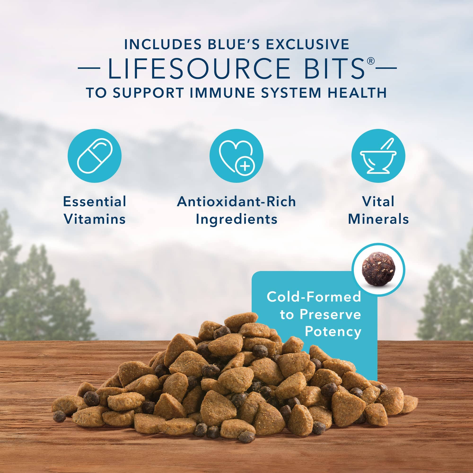 Blue Buffalo Wilderness Adult Large-Breed High-Protein Chicken with Wholesome Grains Dry Dog Food - 24 Lbs  